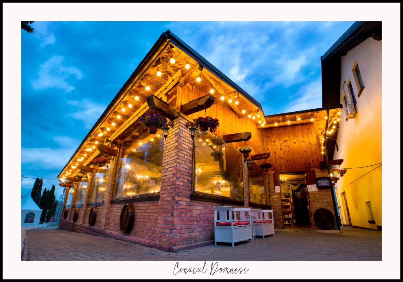 Hotel Conacul Domnesc Scheia Exterior foto