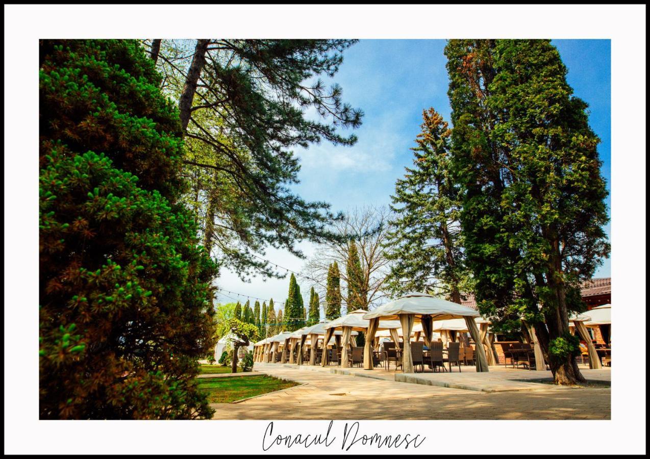 Hotel Conacul Domnesc Scheia Exterior foto