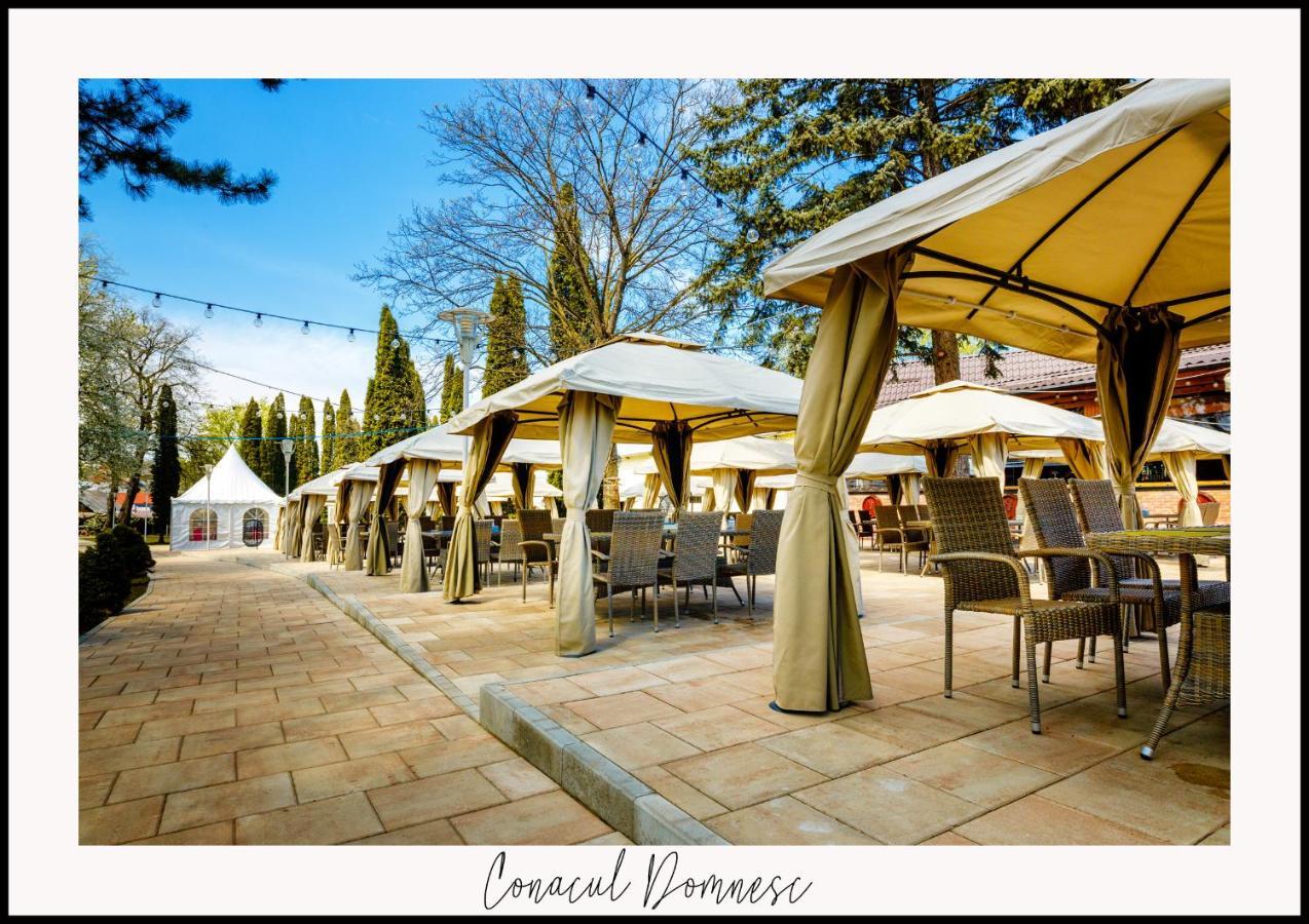 Hotel Conacul Domnesc Scheia Exterior foto