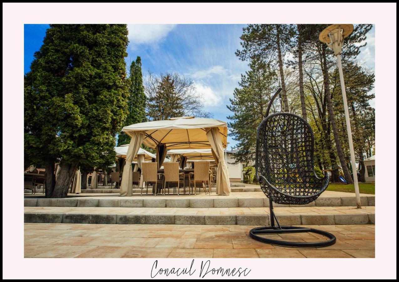 Hotel Conacul Domnesc Scheia Exterior foto