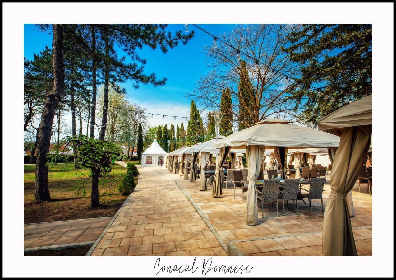 Hotel Conacul Domnesc Scheia Exterior foto